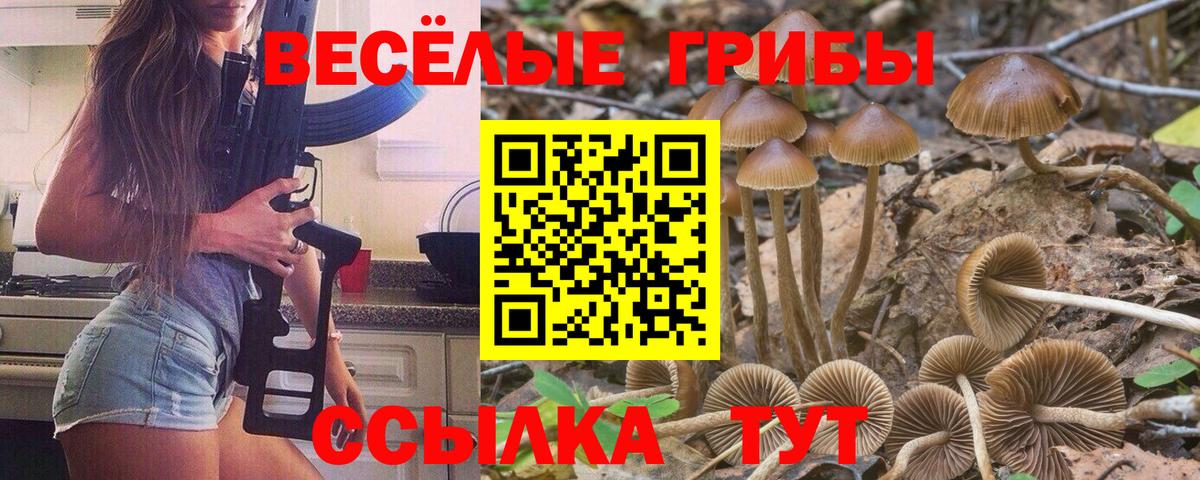 Родники  Галлюциногенные грибы мухоморы  Вход с VPN  Галлюциногенные грибы Magic Shrooms 